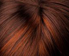 33/32 kastanie/aschbraun 33/32 kastanie/aschbraun