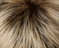 25/23-14+12 goldblond/lichtblond-lichtblond+dunkel