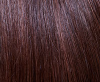 Chestnut (31/130) Chestnut (31/130)