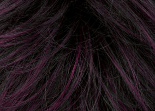 Black violet Black violet