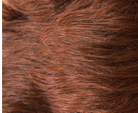 Red chestnut rooted