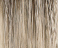L8/22R Aspen Melange Rooted